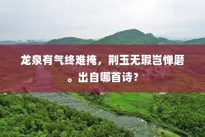 龙泉有气终难掩，荆玉无瑕岂惮磨。出自哪首诗？