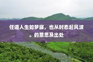 任道人生如梦寐，也从时态起风波。的意思及出处