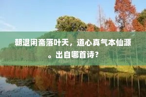 朝退闲斋落叶天，道心真气本仙源。出自哪首诗？