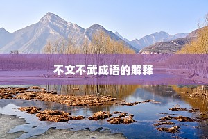 不文不武成语的解释