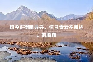 如今正得幽寻兴，佗日青云不易还。的解释