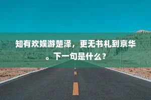 知有欢娱游楚泽,更无书札到京华。下一句是什么? 知有欢娱游楚泽,更无书札到京华。下一句是什么?