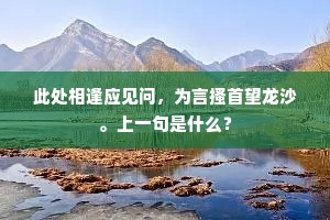 此处相逢应见问，为言搔首望龙沙。上一句是什么？
