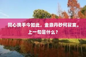 同心携手今如此，金鼎丹砂何寂寞。上一句是什么？