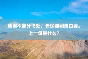 愿君不忘分飞处，长保翩翩洁白姿。上一句是什么？