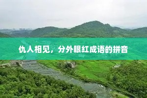 仇人相见，分外眼红成语的拼音
