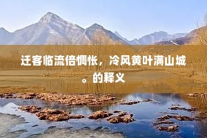 迁客临流倍惆怅，冷风黄叶满山城。的释义