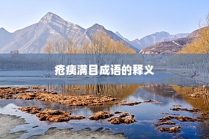 疮痍满目成语的释义