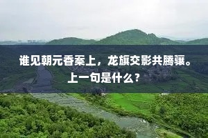 谁见朝元香案上，龙旗交影共腾骧。上一句是什么？