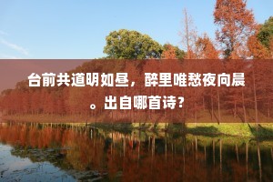台前共道明如昼，醉里唯愁夜向晨。出自哪首诗？
