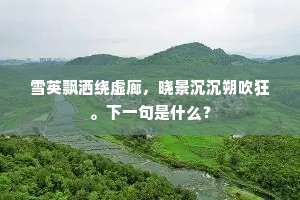 雪英飘洒绕虚廊，晓景沉沉朔吹狂。下一句是什么？
