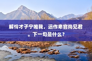 解怜才子宁唯我，远作卑官尚见君。下一句是什么？
