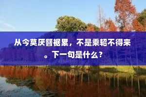 从今莫厌簪裾累，不是乘轺不得来。下一句是什么？
