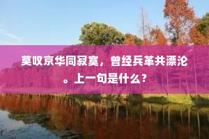 莫叹京华同寂寞，曾经兵革共漂沦。上一句是什么？