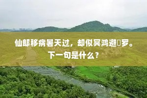仙郎移病暑天过，却似冥鸿避罻罗。下一句是什么？