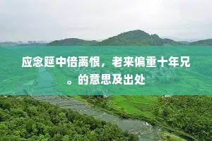 应念筵中倍离恨，老来偏重十年兄。的意思及出处