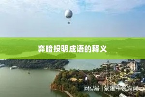 弃暗投明成语的释义