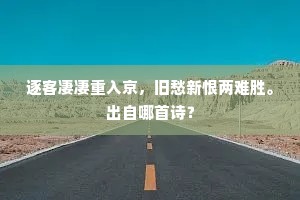 逐客凄凄重入京，旧愁新恨两难胜。出自哪首诗？