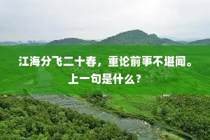 江海分飞二十春，重论前事不堪闻。上一句是什么？