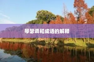 琴瑟调和成语的解释