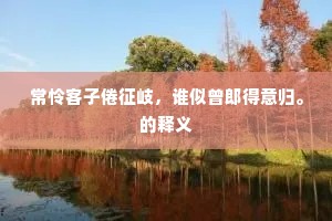 常怜客子倦征岐，谁似曾郎得意归。的释义