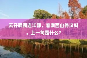 云开驿阁连江静，春满西山倚汉斜。上一句是什么？