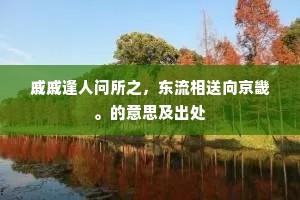戚戚逢人问所之，东流相送向京畿。的意思及出处