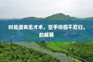 时危道丧无才术，空手徘徊不忍归。的解释