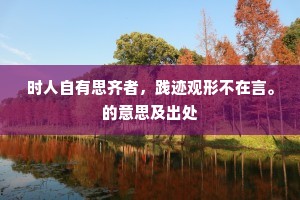 时人自有思齐者，践迹观形不在言。的意思及出处
