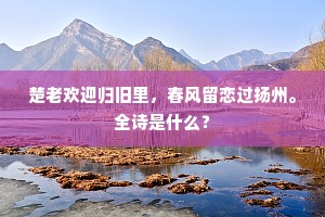 楚老欢迎归旧里，春风留恋过扬州。全诗是什么？