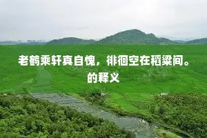 老鹤乘轩真自愧，徘徊空在稻粱间。的释义