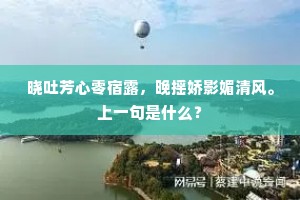 晓吐芳心零宿露,晚摇娇影媚清风。上一句是什么? 晓吐芳心零宿露,晚摇娇影媚清风。上一句是什么?