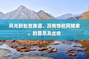 风光到处宜携酒，况有馀杭阿姥家。的意思及出处