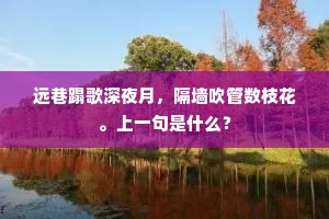 远巷蹋歌深夜月，隔墙吹管数枝花。上一句是什么？