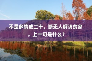 不是多情成二十，断无人解访贫家。上一句是什么？