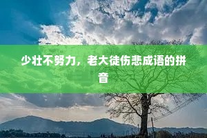 少壮不努力，老大徒伤悲成语的拼音