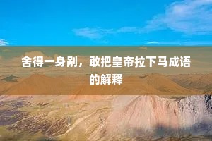 舍得一身剐，敢把皇帝拉下马成语的解释