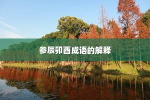 参辰卯酉成语的解释