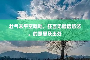壮气未平空咄咄，狂言无验信悠悠。的意思及出处