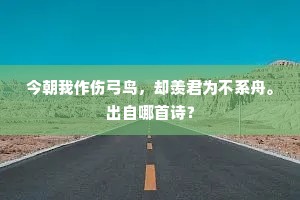 今朝我作伤弓鸟，却羡君为不系舟。出自哪首诗？