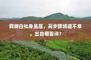 羁游白社身虽屈，高步辞场道不卑。出自哪首诗？