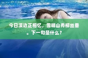 今日溪边正相忆，雪晴山秀柳丝垂。下一句是什么？