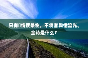 只有閒情搜景物，不将客鬓惜流光。全诗是什么？