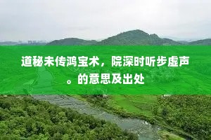 道秘未传鸿宝术，院深时听步虚声。的意思及出处