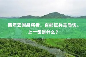 四年去国身将老，百郡征兵主尚忧。上一句是什么？