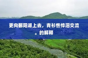 更向鄱阳湖上去，青衫憔悴泪交流。的解释