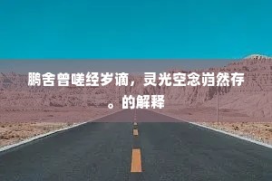 鹏舍曾嗟经岁谪，灵光空念岿然存。的解释