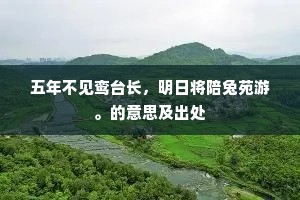 五年不见鸾台长，明日将陪兔苑游。的意思及出处