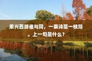 乘兴西游谁与同，一囊诗藁一枝筇。上一句是什么？