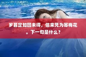 岁暮定知回未得，信来凭为寄梅花。下一句是什么？